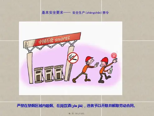 经典安全漫画可视化通俗易懂ppt合集