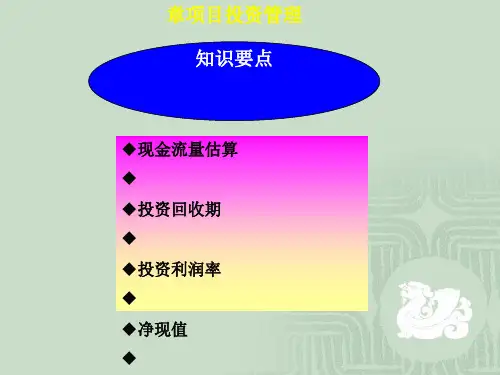 项目投资管理课程(PPT 44张)