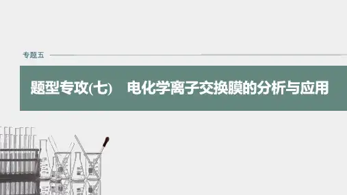高中化学 步步高 二轮复习课件 电化学离子交换膜的分析与应用