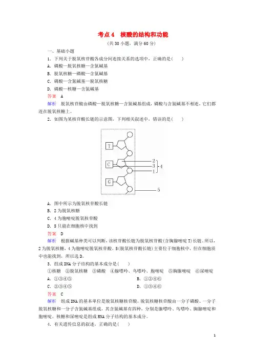 高考生物 考点4 核酸的结构和功能
