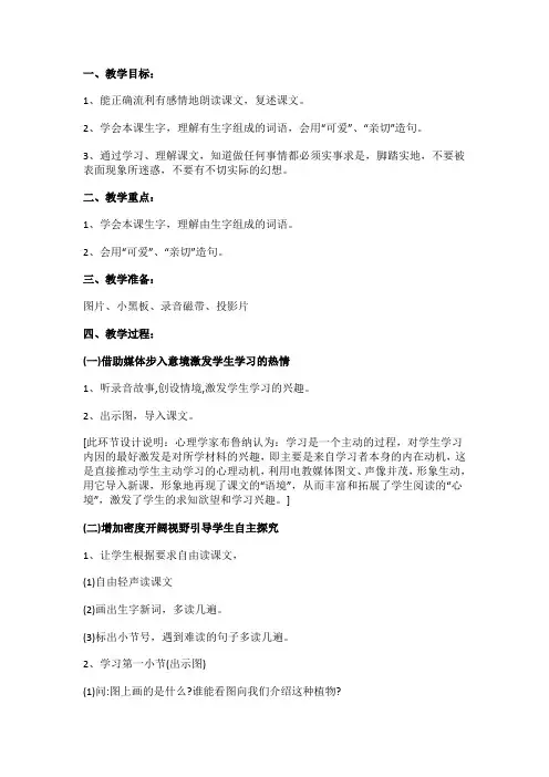 蒲公英