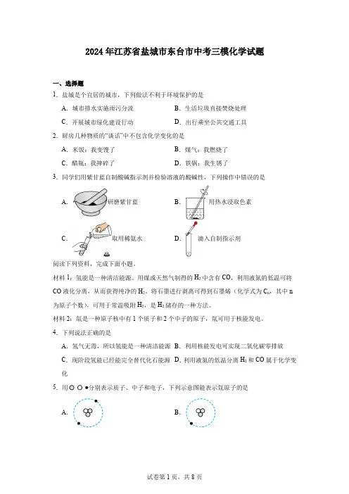 2024年江苏省盐城市东台市中考三模化学试题