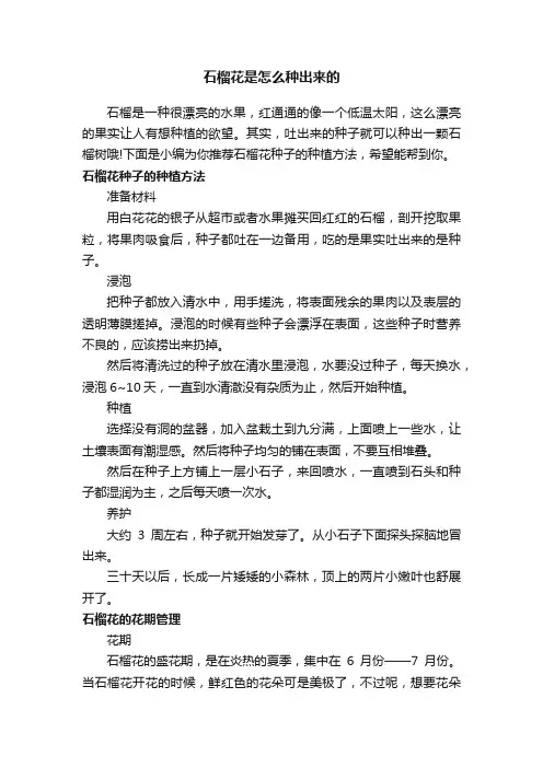 石榴花是怎么种出来的