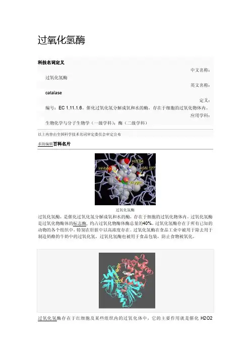 最新过氧化氢酶