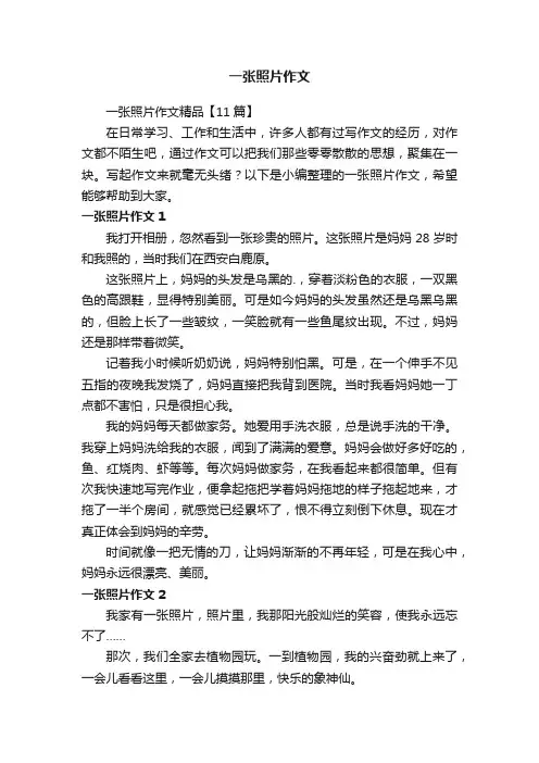 一张照片作文精品【11篇】