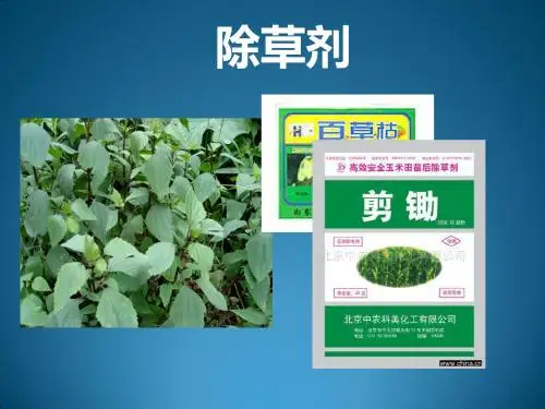 农药学基础 5-1 除草剂