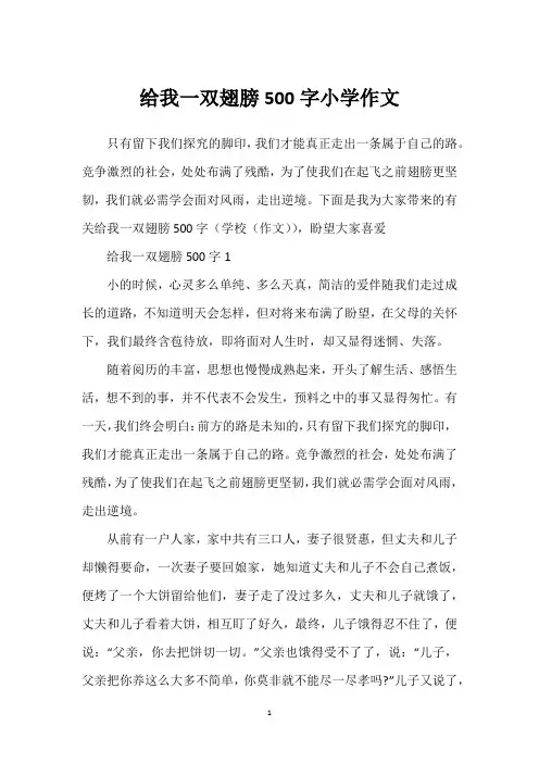 给我一双翅膀500字小学作文