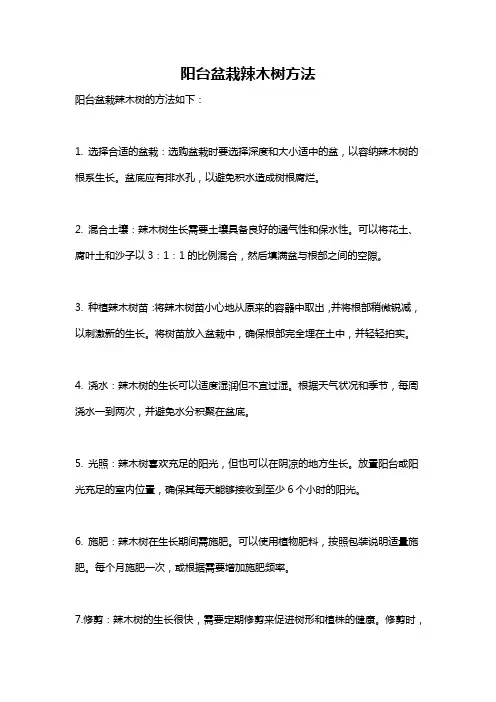 阳台盆栽辣木树方法