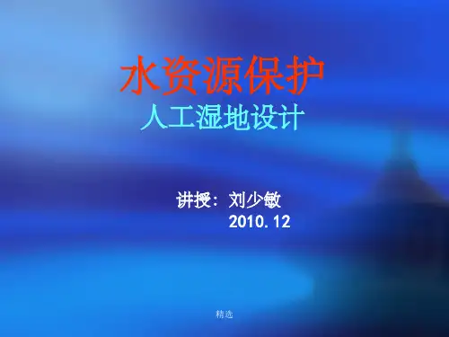 人工湿地设计(刘少敏)PPT课件
