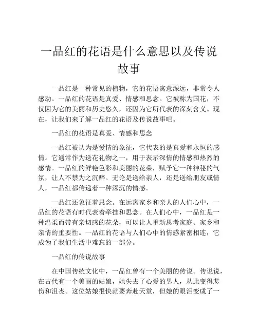 一品红的花语是什么意思以及传说故事