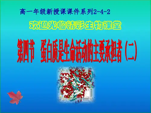 新课程高中生物学课件系列：蛋白质是生命活动的主要承担者第二课时