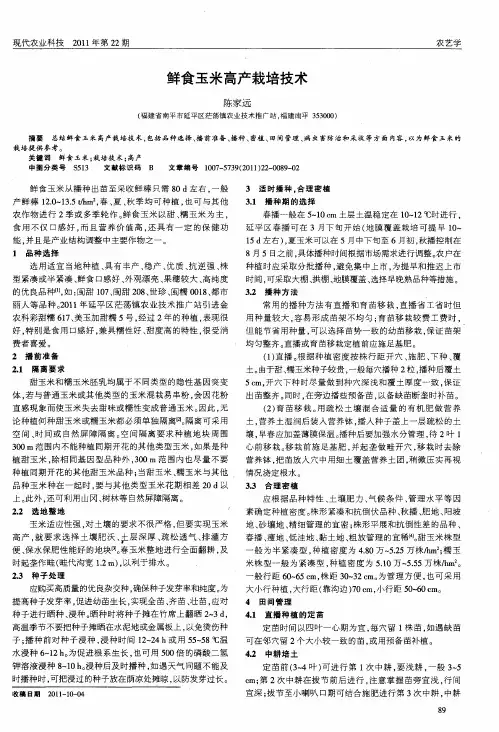 鲜食玉米高产栽培技术