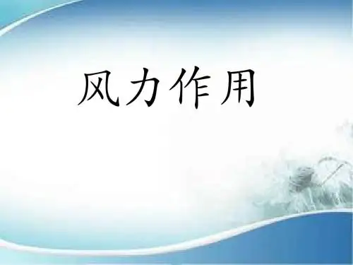 风力作用