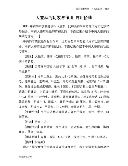 大荃麻的功效与作用 药用价值