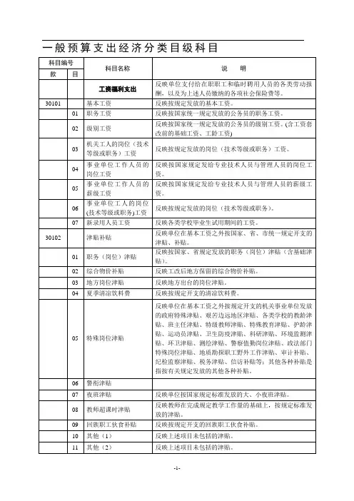 一般预算支出经济分类目级科目