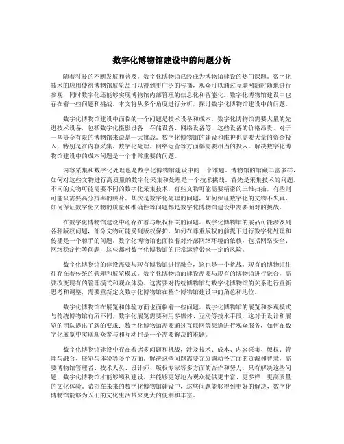 数字化博物馆建设中的问题分析