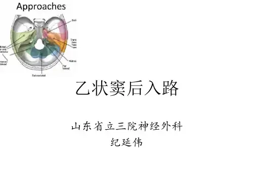 乙状窦后