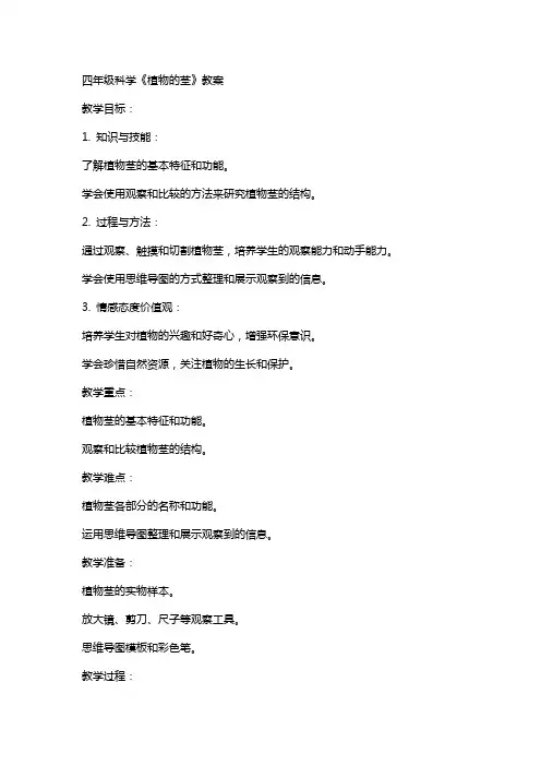 四年级科学《植物的茎》教案