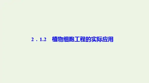 2019-2020学年高中生物专题2细胞工程2.1植物细胞工程2.1.2植物细胞工程的实际应用课件新人教版选修3