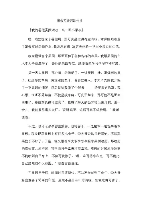 暑假实践活动作业