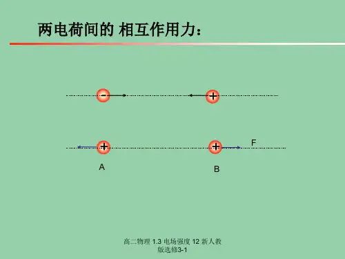 高二物理 1.3 电场强度 12 新人教版选修3-1