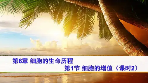 6.1.2 动植物细胞有丝分裂的区别和观察有丝分裂实验