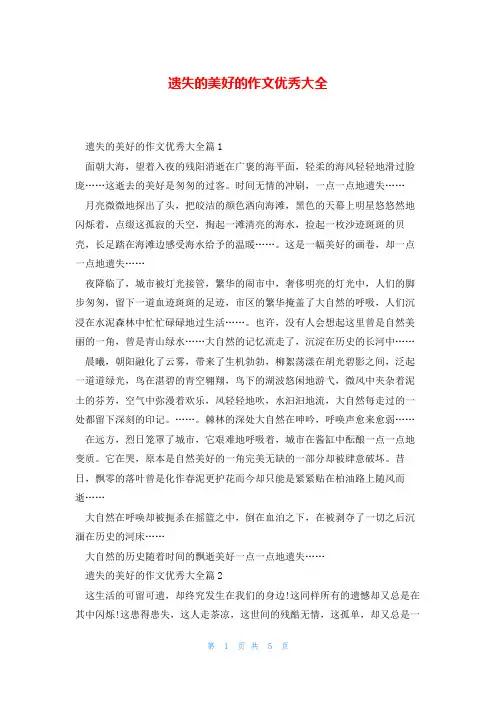 遗失的美好的作文优秀大全