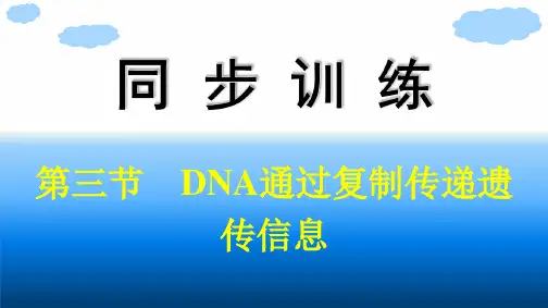 浙科版高中生物学必修2精品课件 第3章 遗传的分子基础 第3节 DNA通过复制传递遗传信息