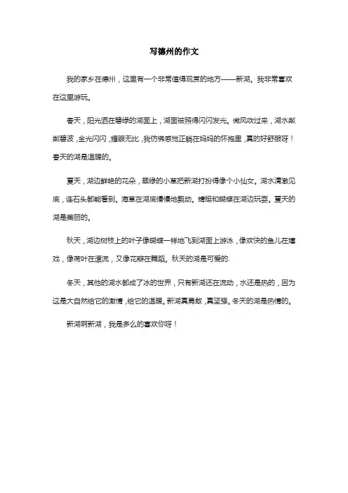写德州的作文