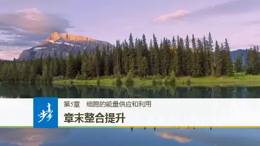 高中生物第5章细胞的能量供应和利用章末整合提升一等奖公开课ppt课件
