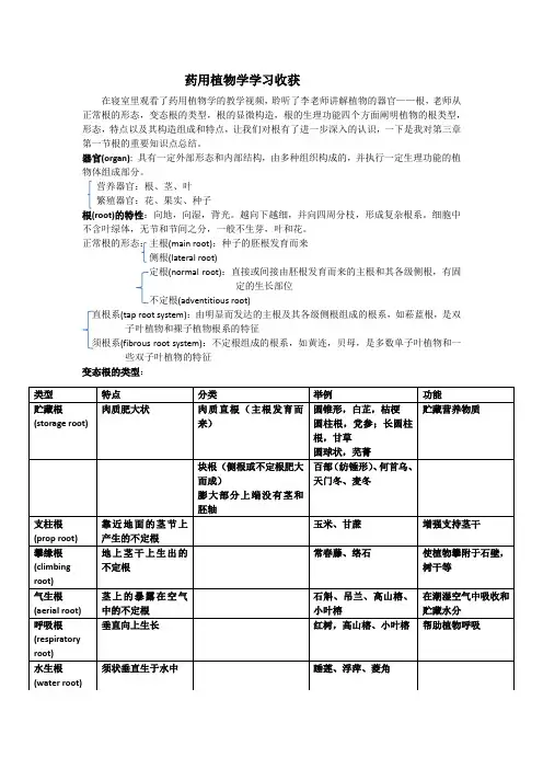 药用植物学学习收获