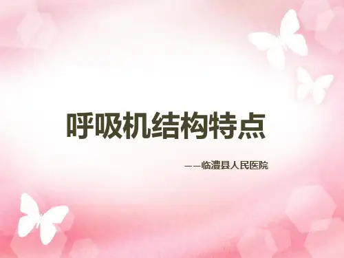 呼吸机的结构