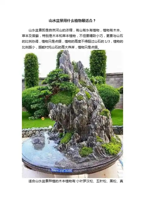 山水盆景用什么植物最适合？