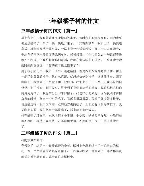 三年级橘子树的作文