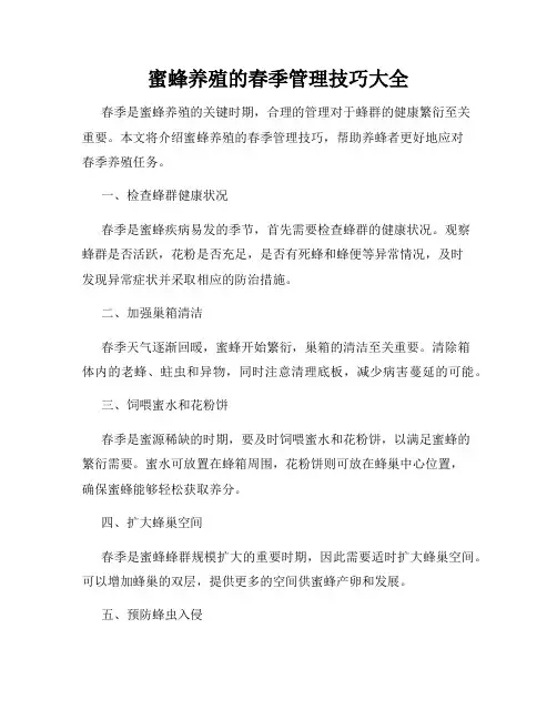 蜜蜂养殖的春季管理技巧大全