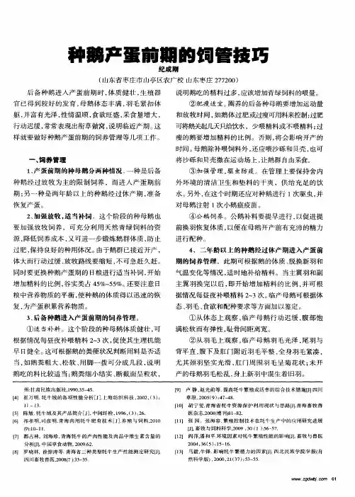 种鹅产蛋前期的饲管技巧