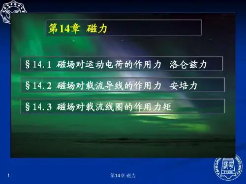 14.1  磁场对运动电荷的作用力   洛仑兹力