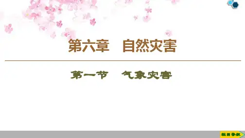 (新教材)人教版地理必修第一册课件：第6章 第1节气象灾害