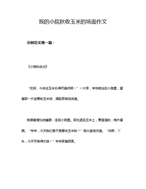 我的小院秋收玉米的场面作文