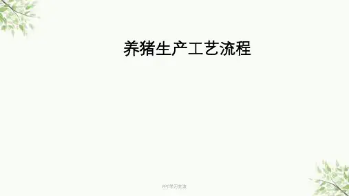 猪生产学_养猪生产工艺流程图课件