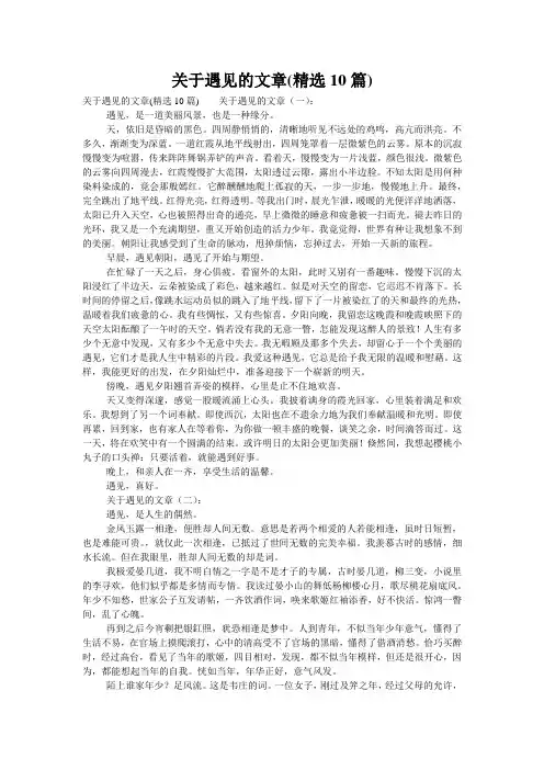 关于遇见的文章(精选10篇)