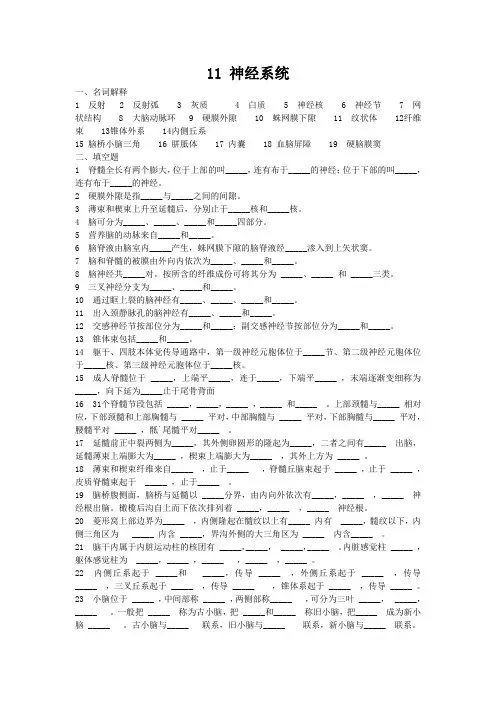 解剖学试题及答案-神经系统
