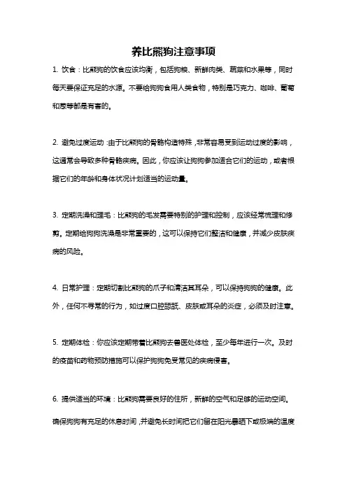 养比熊狗注意事项