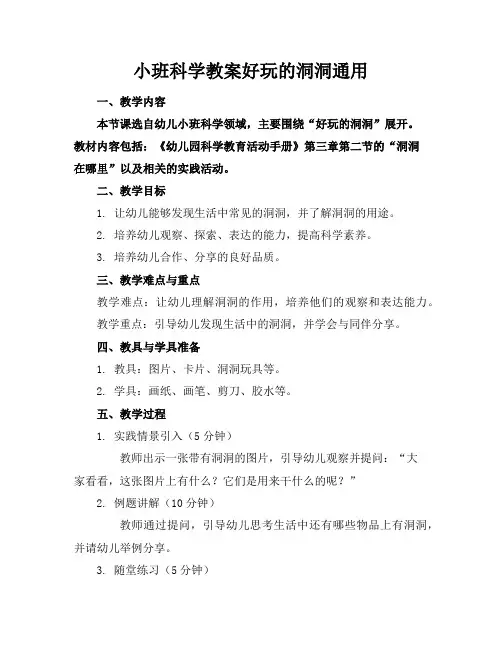 小班科学教案好玩的洞洞通用