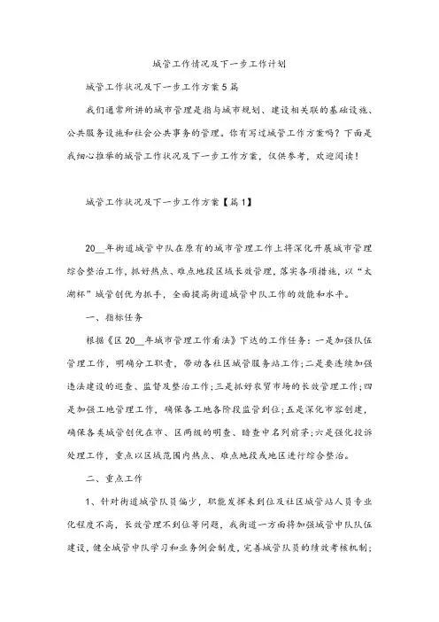 城管工作情况及下一步工作计划