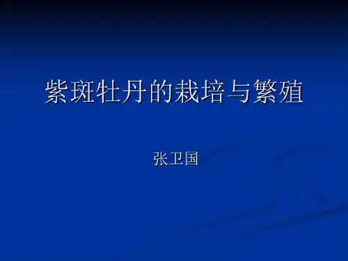 紫斑牡丹的繁育与栽培47页PPT