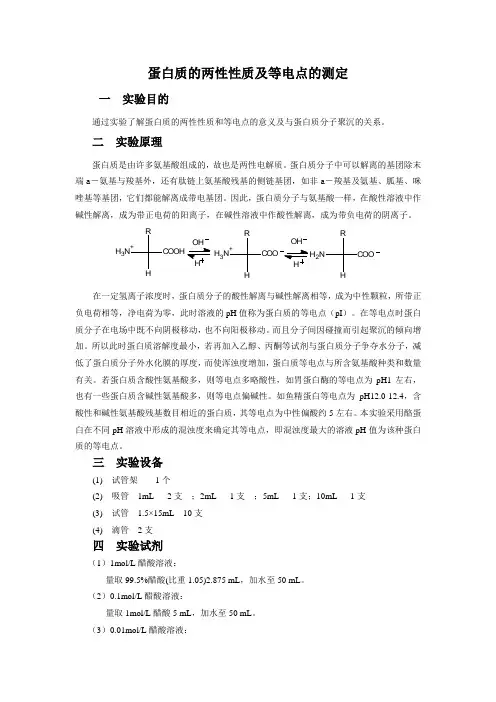 蛋白质的两性性质及等电点的测定