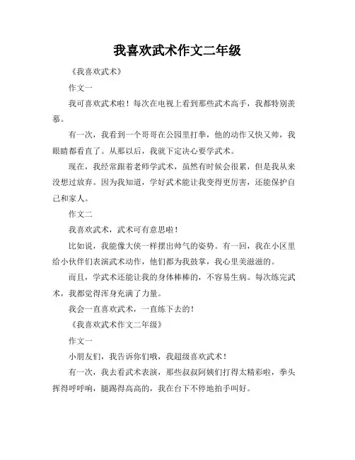 我喜欢武术作文二年级