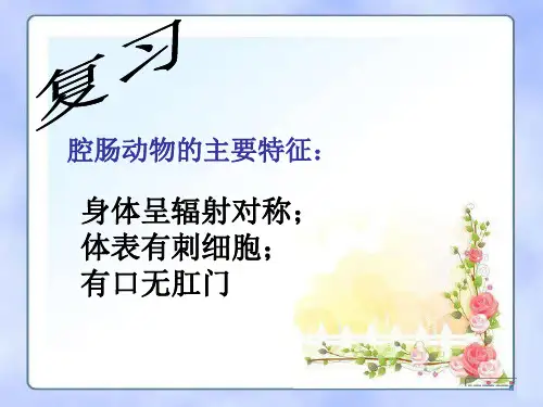 扁形动物