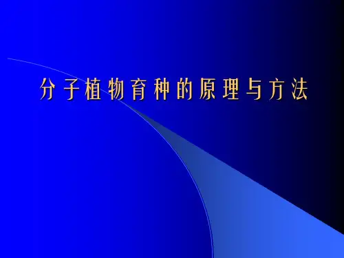 分子植物育种的原理与方法 育种学课件